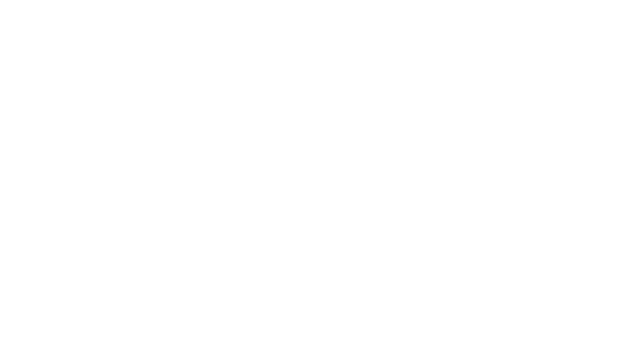 Navy Pier Citadel Vector Logo